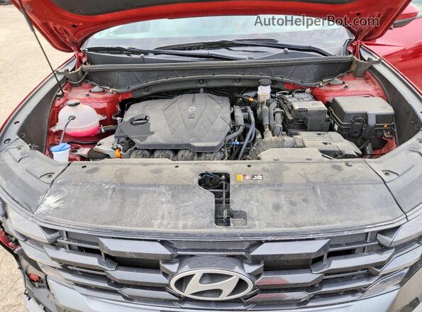 5NMJB3DE7SH548828 2025 HYUNDAI TUCSON Red VIN sticker view