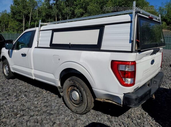 1FTMF1CB1MKE68719 2021 FORD F150 White Tył prawy