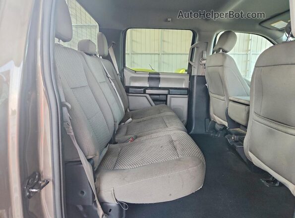 1FTEW1E40LFA21728 2020 FORD F150 Brown Widok wnętrza z tyłu