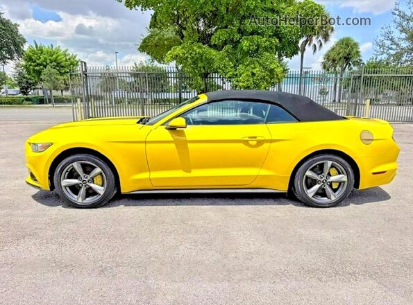 1FATP8EM1H5236809 2017 FORD MUSTANG Yellow VIN sticker view