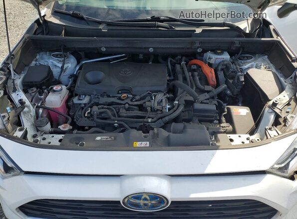 2T3RWRFV8LW072092 2020 TOYOTA RAV4 White VIN կոդի պիտակի տեսք