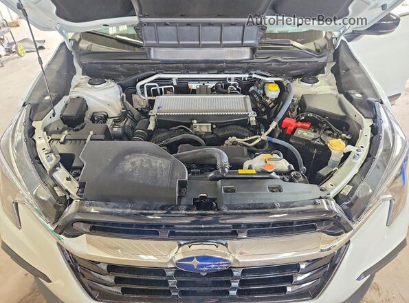 4S4WMAUD8S3432043 2025 SUBARU ASCENT White Սալոնի հետևի տեսք