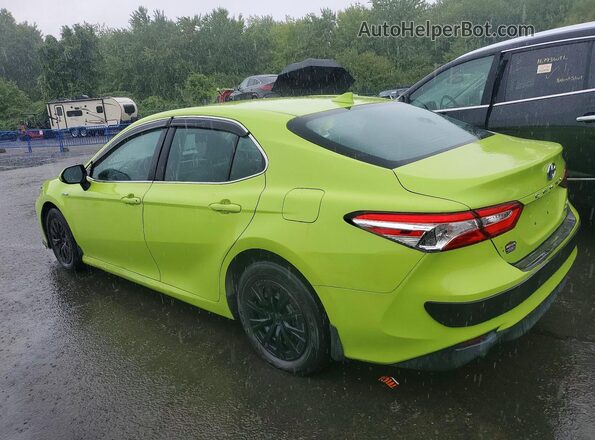 4T1C31AK1LU524731 2020 TOYOTA CAMRY Green Հետևի ձախ
