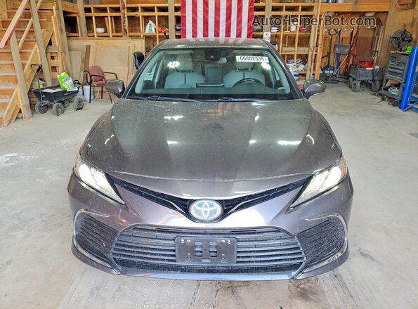 4T1F31AK1MU021053 2021 TOYOTA CAMRY Gray Widok z przodu