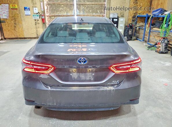 4T1F31AK1MU021053 2021 TOYOTA CAMRY Gray Widok z tyłu