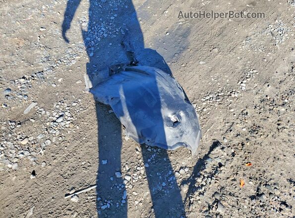 4T1F31AKXMU557385 2021 TOYOTA CAMRY Silver Vista del compartimento del motor