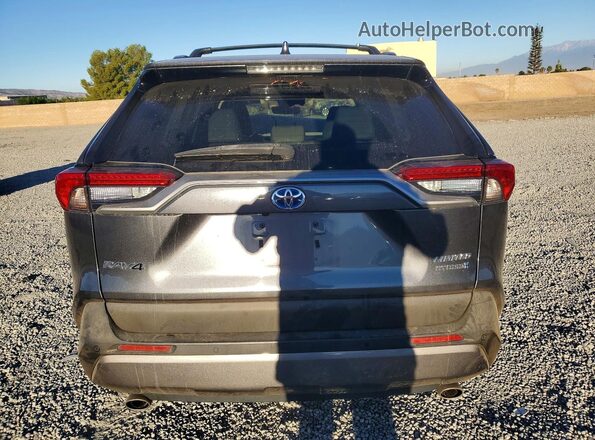 4T3D6RFV4LU004429 2020 TOYOTA RAV4 Gray Вид ззаду