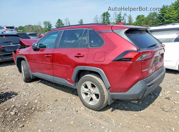 4T3LWRFV3MU035684 2021 TOYOTA RAV4 Red უკანა მარცხენა