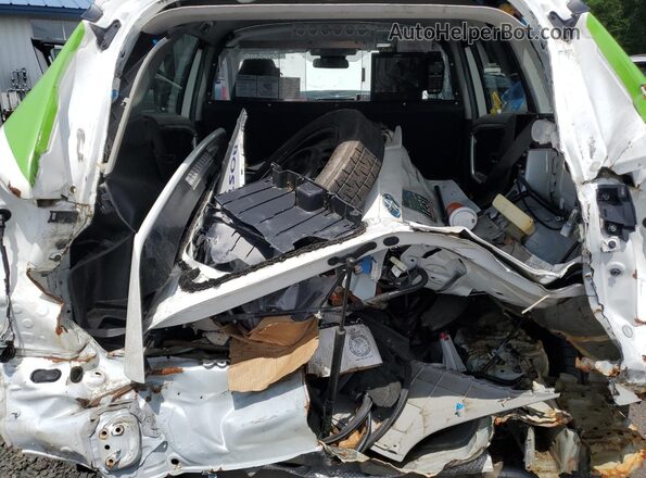 4T3LWRFV8MU039200 2021 TOYOTA RAV4 White 