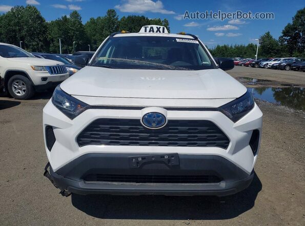 4T3LWRFV8MU039200 2021 TOYOTA RAV4 White Widok z przodu
