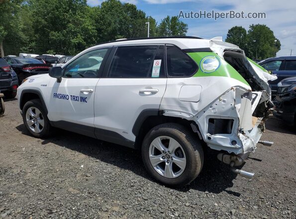 4T3LWRFV8MU039200 2021 TOYOTA RAV4 White 