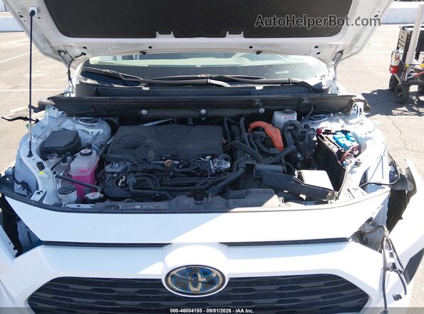 4T3MWRFVXRU138032 2024 TOYOTA RAV4 HYBRID Белый Вид сзади