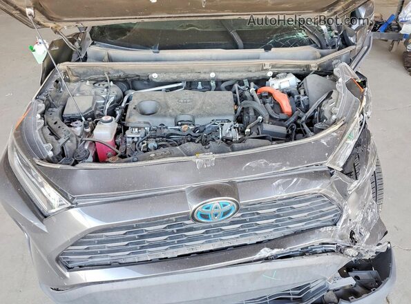 4T3R6RFV8LU004388 2020 TOYOTA RAV4 Gray უკანა სალონის ხედი