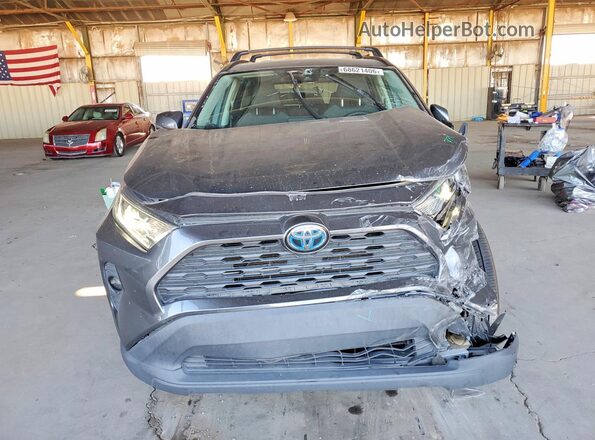 4T3R6RFV8LU004388 2020 TOYOTA RAV4 Gray წინა ხედი