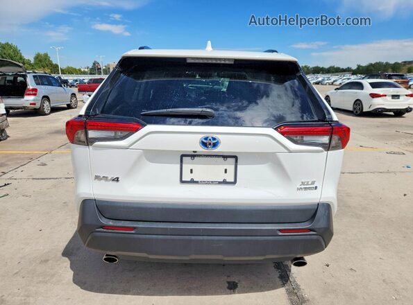 4T3RWRFV0MU042103 2021 TOYOTA RAV4 White Vista trasera