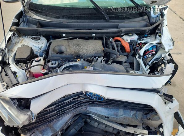 4T3RWRFV0MU042103 2021 TOYOTA RAV4 White Vista del compartimento del motor