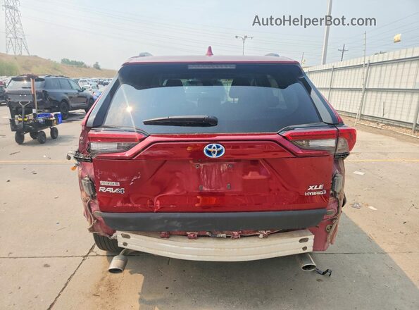 4T3RWRFV4RU140168 2024 TOYOTA RAV4 Красный Вид сзади