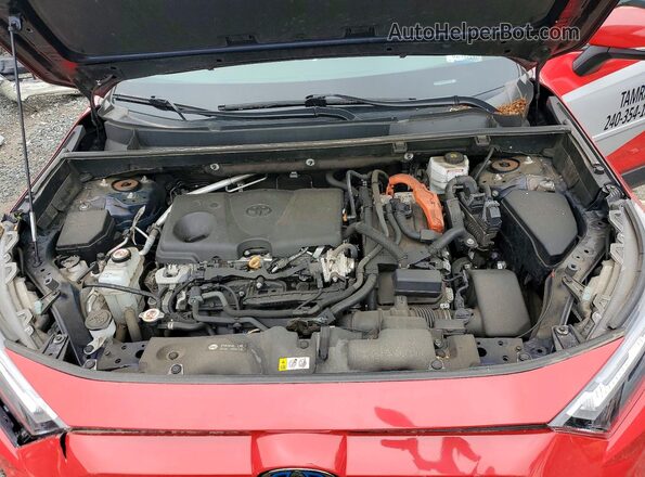 4T3RWRFV5PU084903 2023 TOYOTA RAV4 Red Widok wnętrza z tyłu