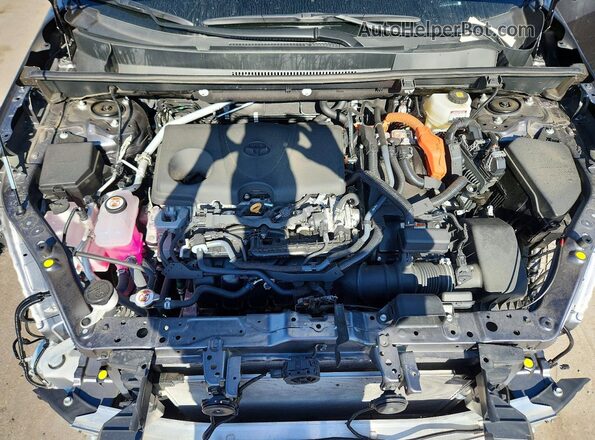 4T3RWRFV5SU198652 2025 TOYOTA RAV4 Серый Вид задней части салона
