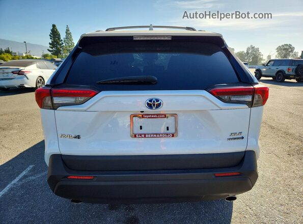 4T3RWRFVXMU039645 2021 TOYOTA RAV4 White Вид ззаду
