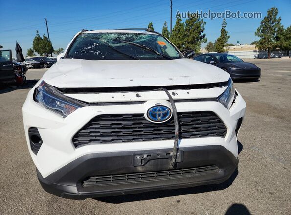 4T3RWRFVXMU039645 2021 TOYOTA RAV4 White Вид спереду