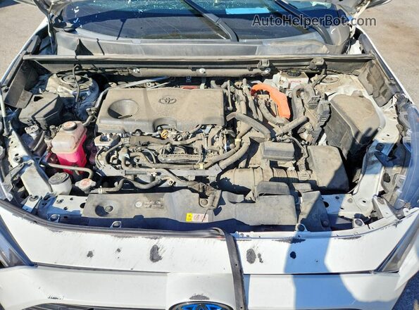 4T3RWRFVXMU039645 2021 TOYOTA RAV4 White Вид задньої частини салону