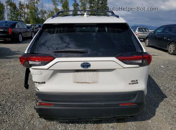 2T3RWRFV8LW072092 2020 TOYOTA RAV4 White Սալոնի դիմացի տեսք