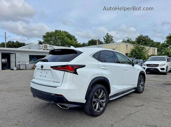 JTJJARBZ1L5009439 2020 LEXUS NX Белый Вид спереди
