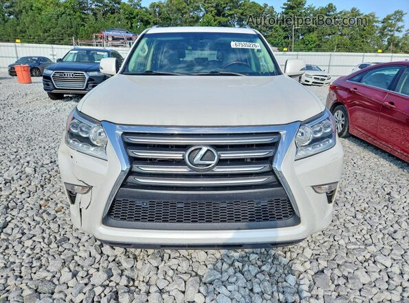 JTJJM7FX0J5186503 2018 LEXUS GX White Widok z tyłu