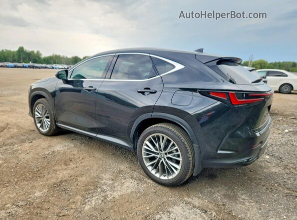 2T2GGCEZ8TC097053 2026 LEXUS NX Black უკანა მარჯვენა