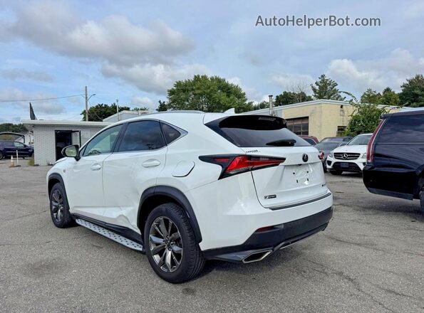 JTJJARBZ1L5009439 2020 LEXUS NX Белый Передняя правая четверть