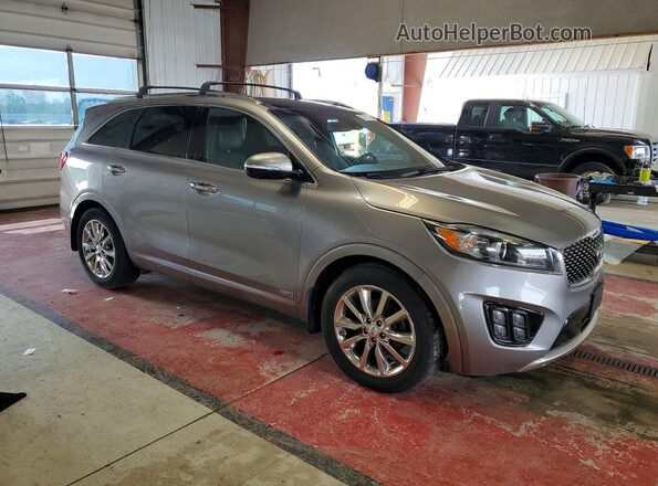5XYPKDA53HG256827 2017 KIA SORENTO Silver Widok z przodu