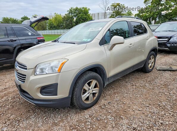 3GNCJPSB5GL116252 2016 CHEVROLET TRAX Желто-коричневый Задняя левая четверть