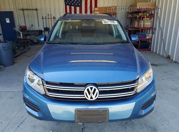 WVGBV7AX2HK007932 2017 VOLKSWAGEN TIGUAN Blue უკანა ხედი