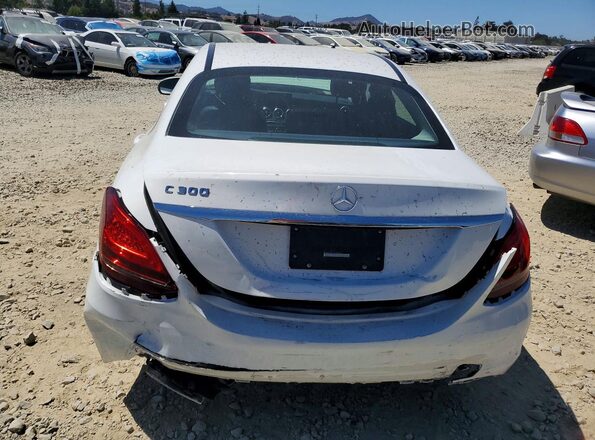 55SWF8DB1KU298919 2019 MERCEDES-BENZ C White Вид ззаду