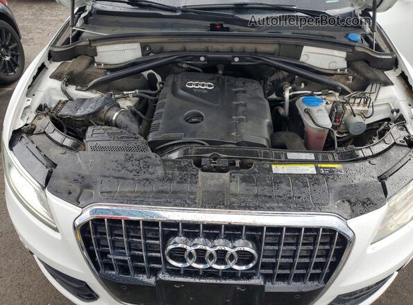 WA1L2AFP2GA010805 2016 AUDI Q5 White Vista de la etiqueta del VIN