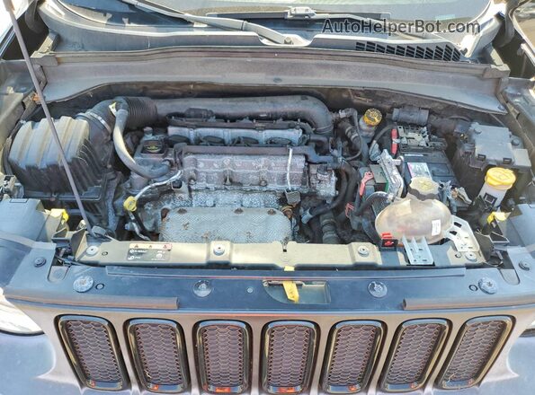 ZACCJBBT5GPC96618 2016 JEEP RENEGADE Black Vista de la etiqueta del VIN