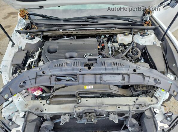 58ADA1C13RU040706 2024 LEXUS ES White Widok wnętrza z tyłu