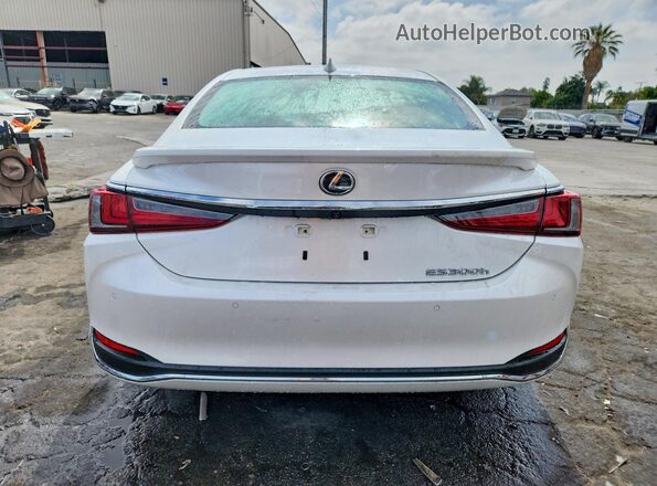 58ADA1C17SU067171 2025 LEXUS ES White უკანა ხედი