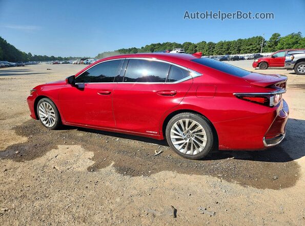 58AF21B19LU012357 2020 LEXUS ES Red Задня ліва чверть
