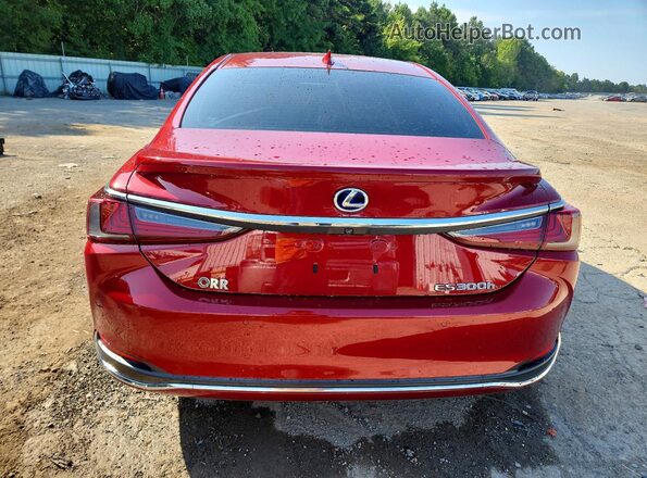 58AF21B19LU012357 2020 LEXUS ES Red Вид ззаду