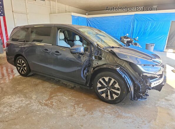5FNRL6H62SB058691 2025 HONDA ODYSSEY Gray Przód prawy