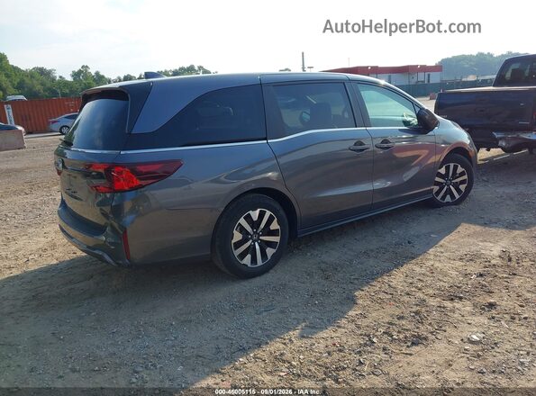 5FNRL6H67SB072439 2025 HONDA ODYSSEY Gray Tył prawy