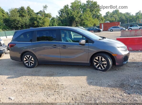 5FNRL6H67SB072439 2025 HONDA ODYSSEY Gray Widok wnętrza 360 stopni