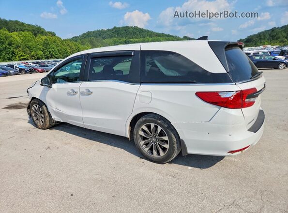 5FNRL6H68RB075635 2024 HONDA ODYSSEY White უკანა მარცხენა