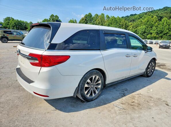 5FNRL6H68RB075635 2024 HONDA ODYSSEY White უკანა მარჯვენა