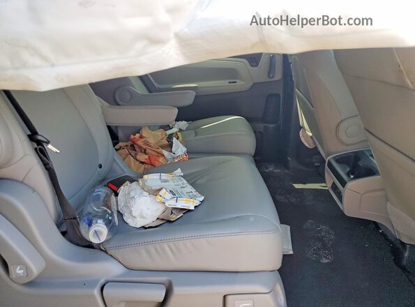 5FNRL6H72LB032263 2020 HONDA ODYSSEY Синий Вид задней части салона