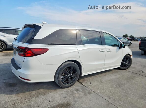 5FNRL6H74PB039091 2023 HONDA ODYSSEY White უკანა მარჯვენა