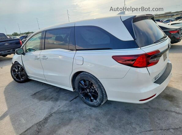 5FNRL6H74PB039091 2023 HONDA ODYSSEY White უკანა მარცხენა