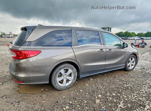 5FNRL6H78KB029723 2019 HONDA ODYSSEY Gray Հետևի աջ